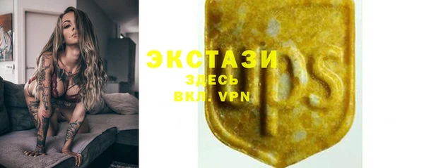 крисы Верхний Тагил