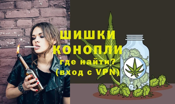 ECSTASY Белокуриха