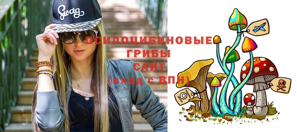 альфа пвп Беломорск