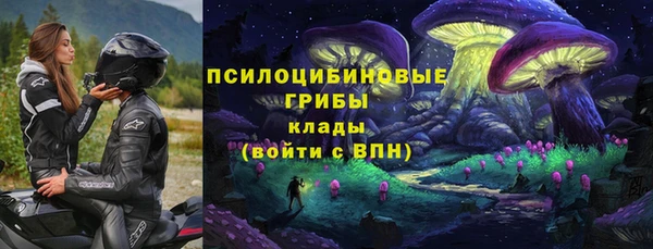 ECSTASY Белокуриха