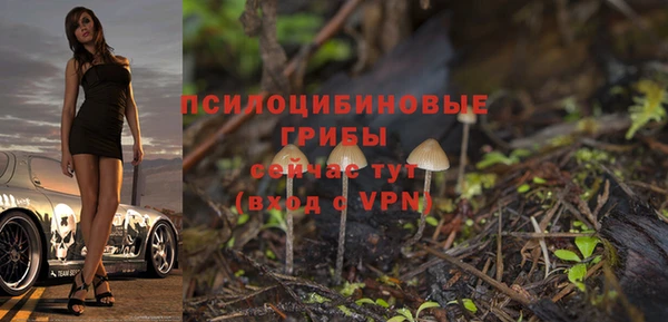 ECSTASY Белокуриха