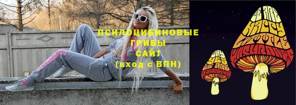 альфа пвп Беломорск