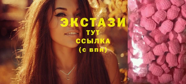 ECSTASY Белокуриха
