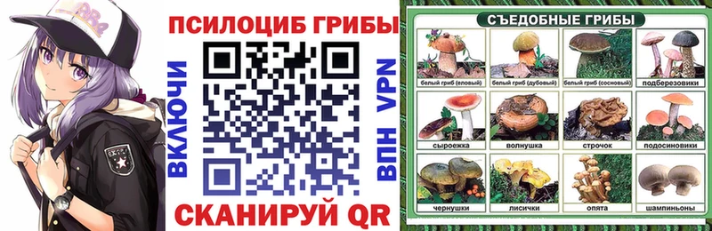 Галлюциногенные грибы Psilocybe  KRAKEN ONION  мориарти официальный сайт  Полтавская 
